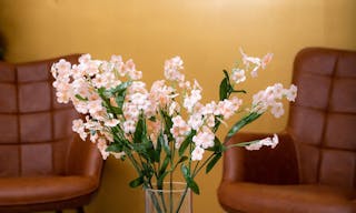 Stunning 2 Level Space in Brooklyn - Image 5