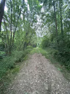 Décor/Lieu de tournage: Forêt Privée - Image 11