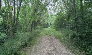 Décor/Lieu de tournage: Forêt Privée - Image 11