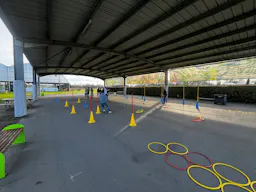 Préau - Decathlon Merignac - Image 1