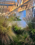 Monoplane Showroom - Image 4