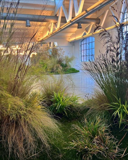 Monoplane Showroom - Image 4