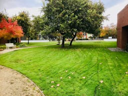Spacious , quiet and clean room 127 at University of San Jose - Image 9