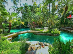 Oasis Shooting and Videos Productions Venue in Davie, FL - Image 3