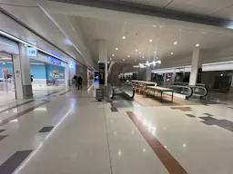 El�gante dans le centre commercial Bercy 2 - Image 0