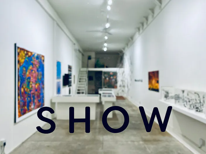 SHOW GALLERY - Image 3