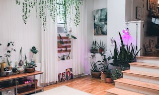 Creative Loft in Prime Williamsburg - Image 8