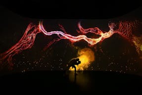 Immersive Art Experience Soho/Tribeca - Image 9