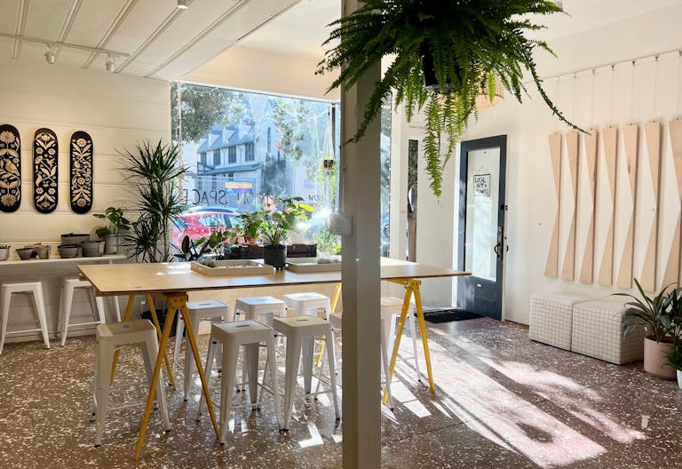 Art Gallery + Plant Store in Outer Richmond District of San Francisco - Image 3