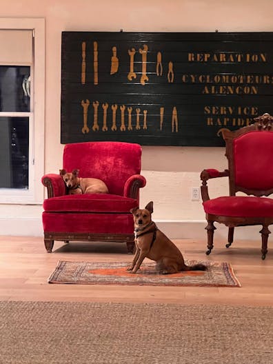 A modern retail space with attached garden and garden office - Image 4