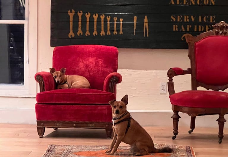 A modern retail space with attached garden and garden office - Image 4