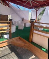 Distinctive Vines in The Cedars - Image 9