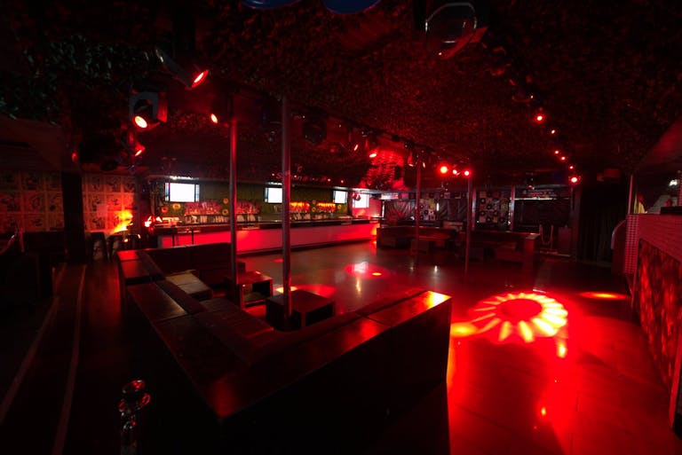 NYC Themed Nightclub & Restaurant - Image 2