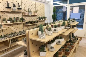 Premium Boutique in Opera - Image 9