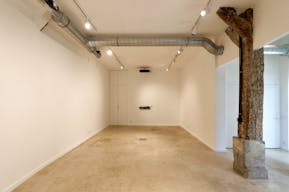 Espace sous verrière de 800 m² à Bastille - Image 3