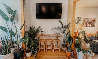 Plant-filled Community Space in the Marina District - Image 9