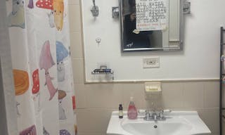 Gorgeous Old School Brooklyn Apt with giant windows / maple black and white floors / molding / full of art and live plants - Image 8