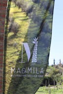 Rustic Sicilian olive farm & historic barn venue - Image 4