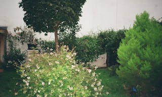 Apartment Studio - a silent space for creative ventures - Image 11