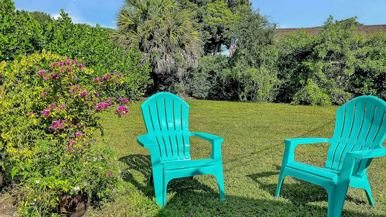 Large Lawn Space - Blank Canvas - Image 2