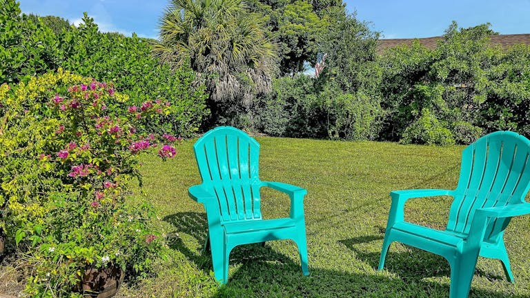 Large Lawn Space - Blank Canvas - Image 2