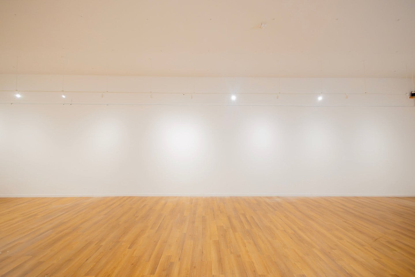 Loma Gallery Event Space on Peachtree Road, Atlanta