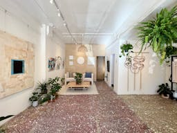 Art Gallery + Plant Store in Outer Richmond District of San Francisco - Image 0