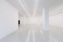 Whitecube Showroom