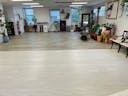 Charming, Spacious, Bright Studio