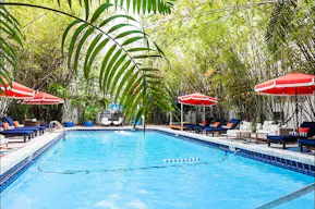 Stunning Hotel at South Beach with all amenities for your event - Image 7