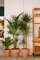 Espace événementiel : coffee shop d'architectes au coeur du 8ème ! - Image 1