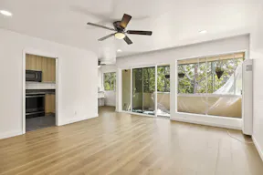 Pristine 1-bedroom in Santa Barbara - Image 2