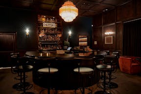 BEAUTIFUL SPEAKEASY BAR AND LOUNGE WITH FIREPLACE - Image 3