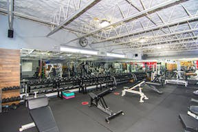 High End, State of The Art Fitness Facility (Gym) in Hot East Fort Lauderdale Location - Image 5