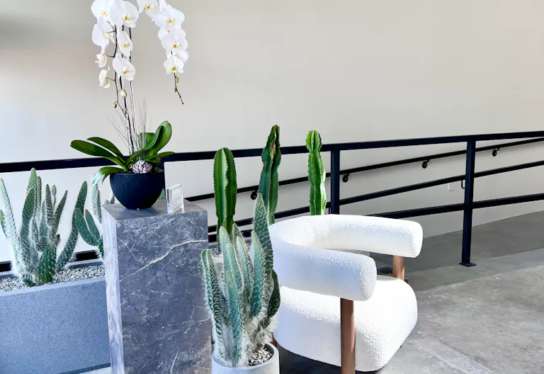 SHORT-TERM Melrose Avenue, 8446 - Image 2