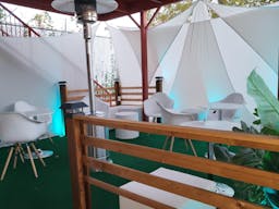 Distinctive Vines in The Cedars - Image 7