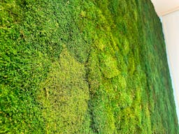 Hochwertige Showroom-Fläche bei Berlin geeignet für Fashion - Image 6