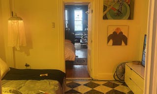 Gorgeous Old School Brooklyn Apt with giant windows / maple black and white floors / molding / full of art and live plants - Image 7