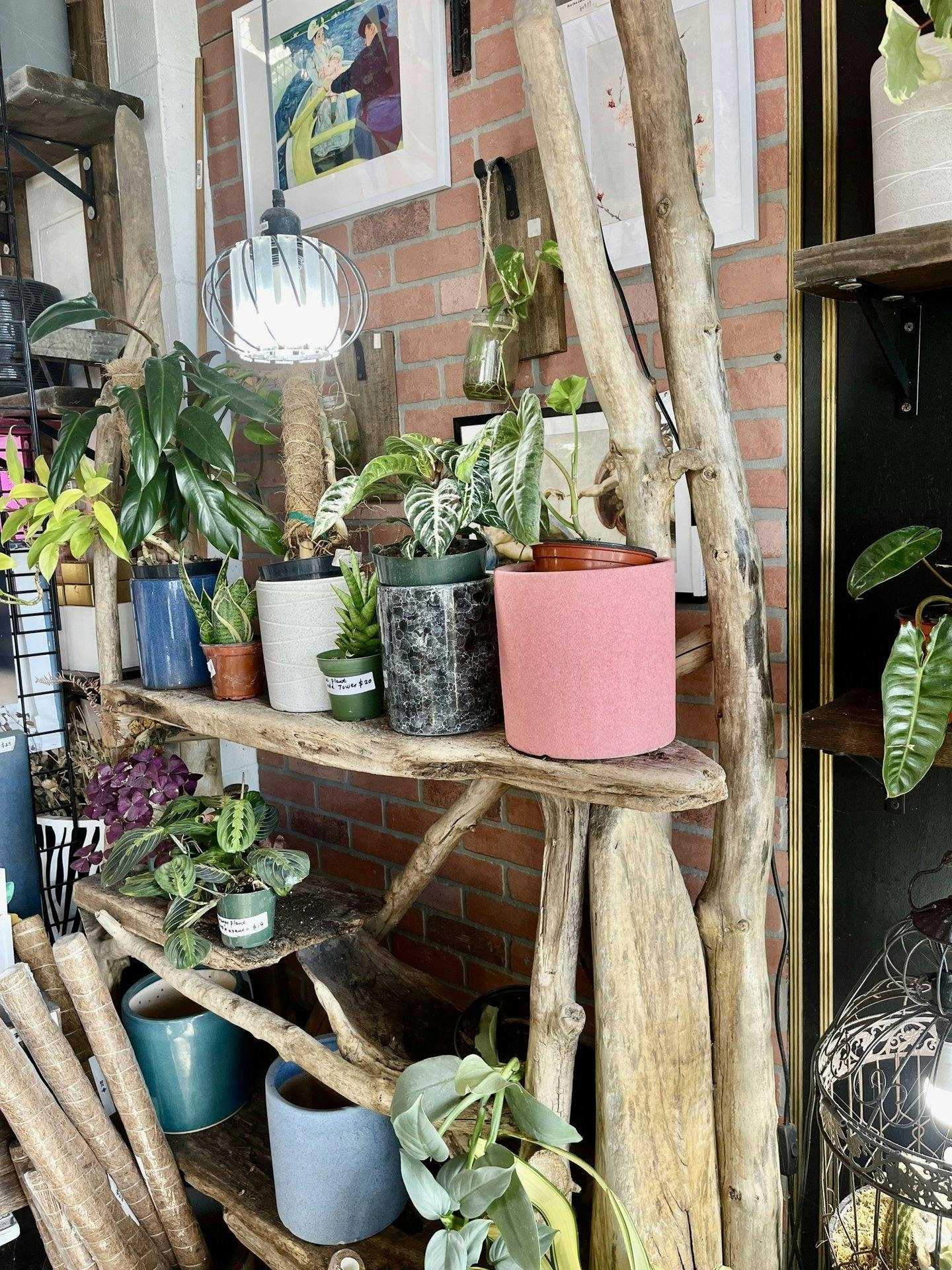 Boutique and Florist Shop on Union Street, Schenectady