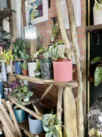 Boutique and florist shop at Union Street Schenectady - Image 1