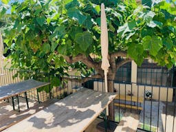 Salle Terrasse - 40m2 - Image 4