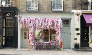 Beautiful Hyde Park Store - Image 0