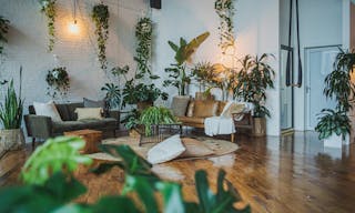 Sunny Plant Filled Dumbo Restored Warehouse // Perfect for Photo shoots/Dinner Parties/Events - Image 2