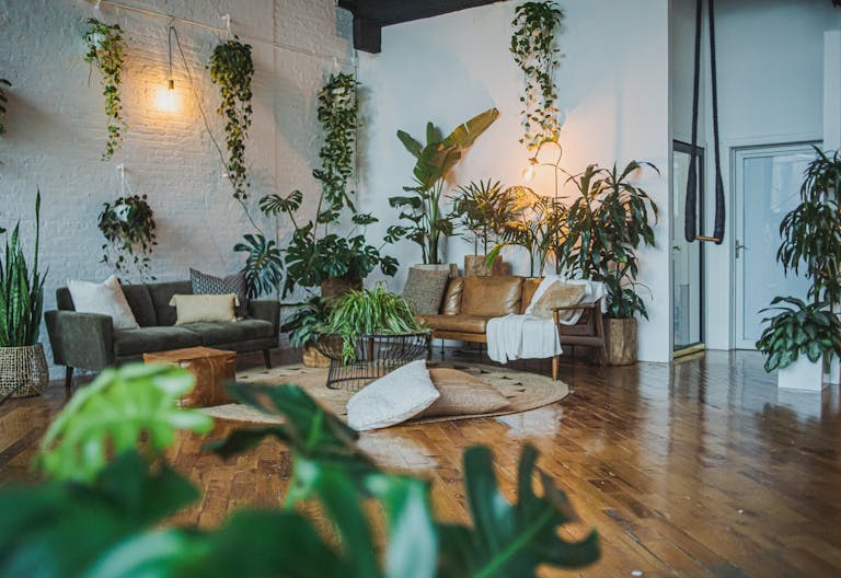 Sunny Plant Filled Dumbo Restored Warehouse // Perfect for Photo shoots/Dinner Parties/Events - Image 2