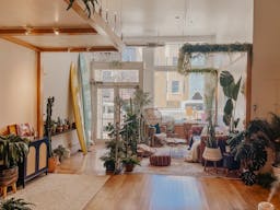 Plant-filled Community Space in the Marina District - Image 6