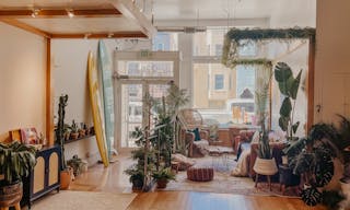 Plant-filled Community Space in the Marina District - Image 6