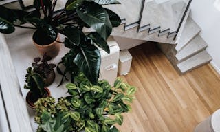 Maison d'h�tes de 580m2 - parfait pour s�minaire, �v�nement, tournage, shooting. - Image 9