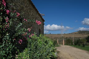 Rustic Sicilian olive farm & historic barn venue - Image 7