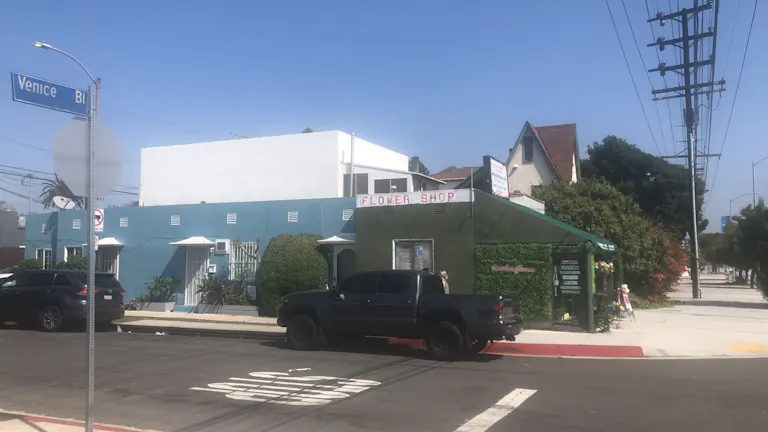 Unique Creative Retail/Experiential/Office - Apple LA headquarters - Image 2