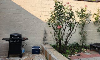 HIDDEN GEM! PROMO RATE Plant-Filled, Spacious, Bright Outdoor Event Space with Tons of Natural Light, Conveniently Located - Image 8